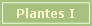 Plantes de l'absinthe I