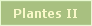 Plantes de l'absinthe II