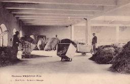 Pernod Fils #11