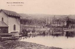Pernod Fils #15