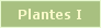 Plantes de l'absinthe I